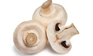 Champiñones Kg.