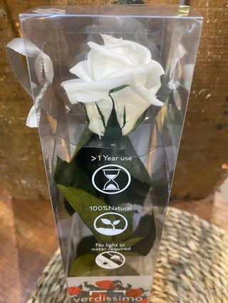 Rosa eterna blanco