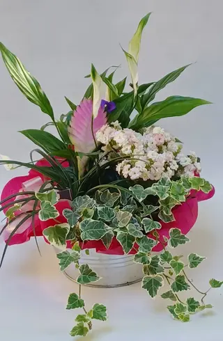 4 piante in zinco (in tonalità rosa)