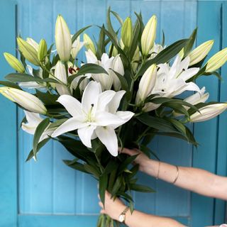 Bouquet de lys blanche parfumé - 5 Branches