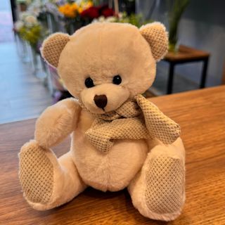 Ursuletul de plus adorabil 