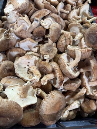Shiitake 250 g