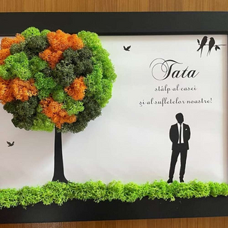 Tablou cu licheni TATA  - 20x30