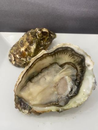 Ostras Perles XL (6 Uds.)