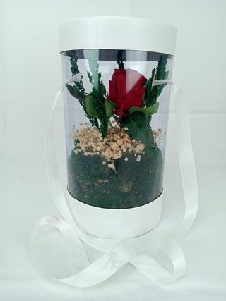 BOX CELINDER 1 ROSE ETERNEL