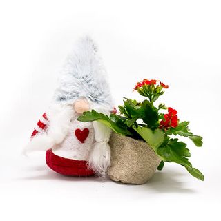Muñeco Gnomo Navideño con planta mini