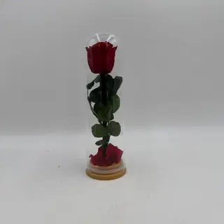 CUPULA  LOVE IN ROSES RED