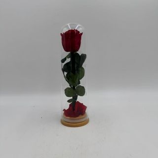 Cupula  Love In Roses Red