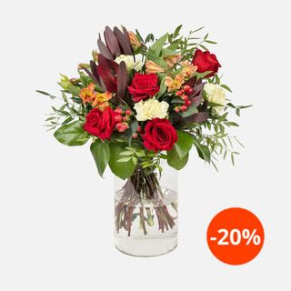 Maceta boidegradable