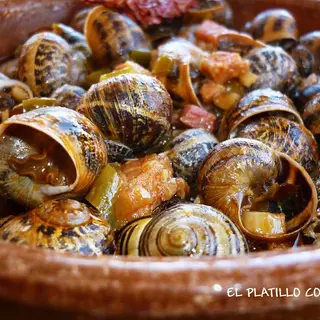 Caracoles