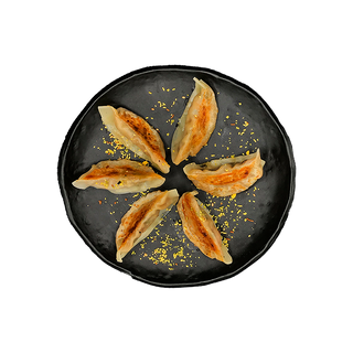 Gyozas Caseras de panceta