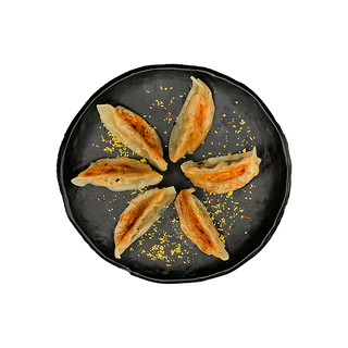 Gyozas Caseras de panceta