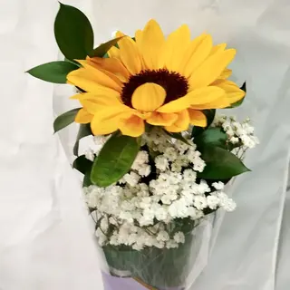 1 Girasol