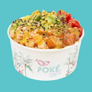 Bowl regular- Doppia proteina