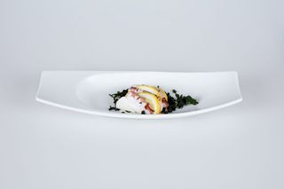 33. Alghe con polipo