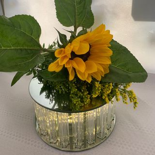 Alzata vetro luminosa con Girasole 