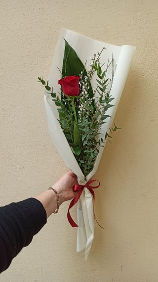 1 Rosa Rossa