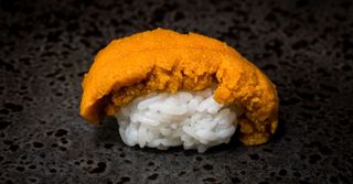 Nigiri Uni