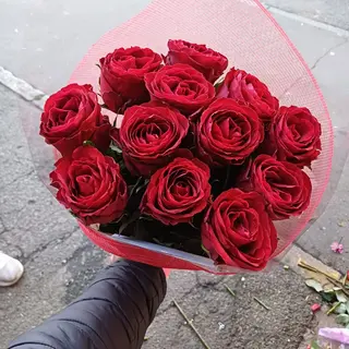 Rose rosse 13