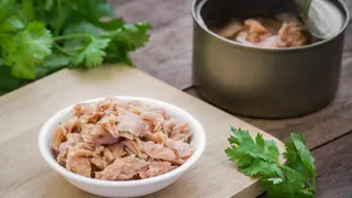 Риба тон (50г)