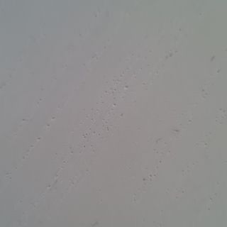 Bianca Bruno  Ribadi 75