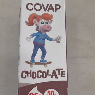 Batido De Chocolate 200 ml.