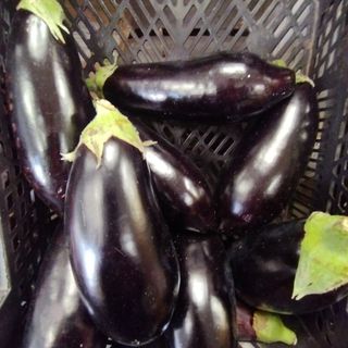 Alberginia aprox 1 kg