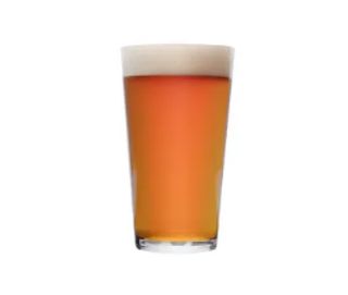 LAGUNITAS INDIA PALE ALE 