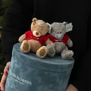 Ведмедик Тедді 13 см 