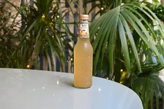 GALVANINA Iced Tea - Limone