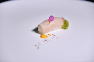 203. Nigi kajimaguro 2 pezzi