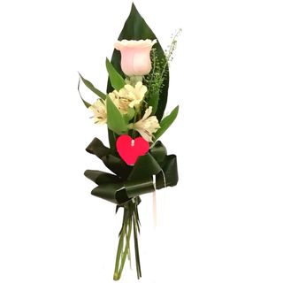 Linda Rosa Cor de Rosa arranjada