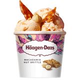 Häagen-Dazs Macadamia Nut Brittle