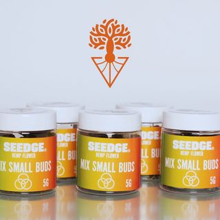 5G Mix Small Buds - Economic Pack