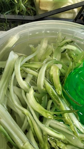Puntarelle 250 g