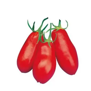 POMODORI SAN MARZANO (SUGO)