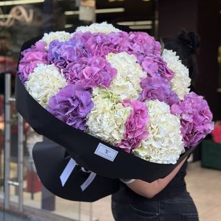 Мікс гортензій