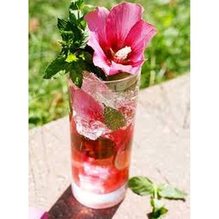 Hibiscus Mojito