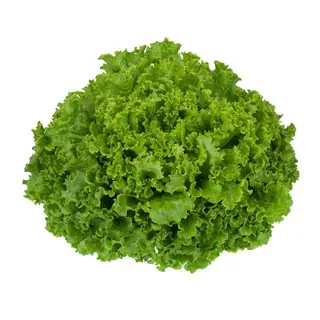 Lechuga batavia 650gr Aprox.( 1Ud)