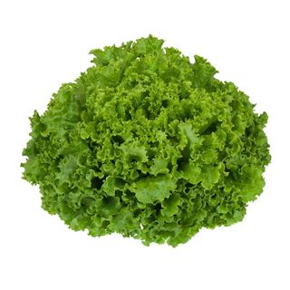 Lechuga batavia 500gr