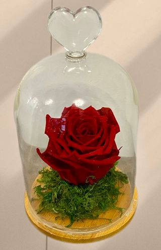 Вечна роза в стъкленица