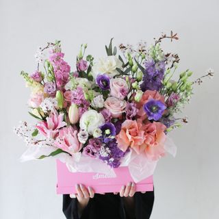 მოვა მაისი 