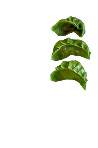Yasai gyoza 3 pezzi