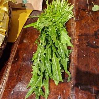 Cicoria a mazzi 500 g