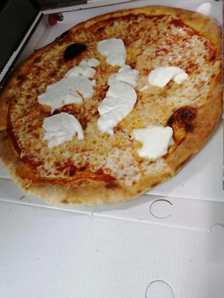 Bufala 