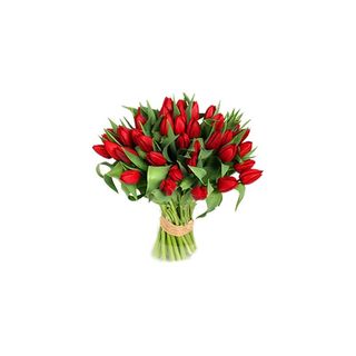 20 tulipani rosso extra