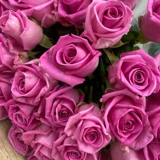 Троянда Аква