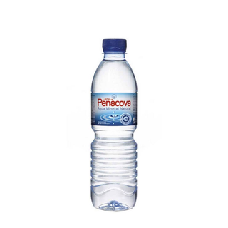 Água Mineral 500ml