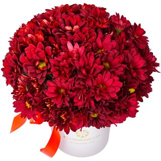 Композиція "Червоний оксамит" 