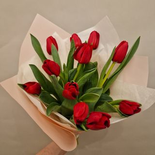 Buchet 11 lalele rosii